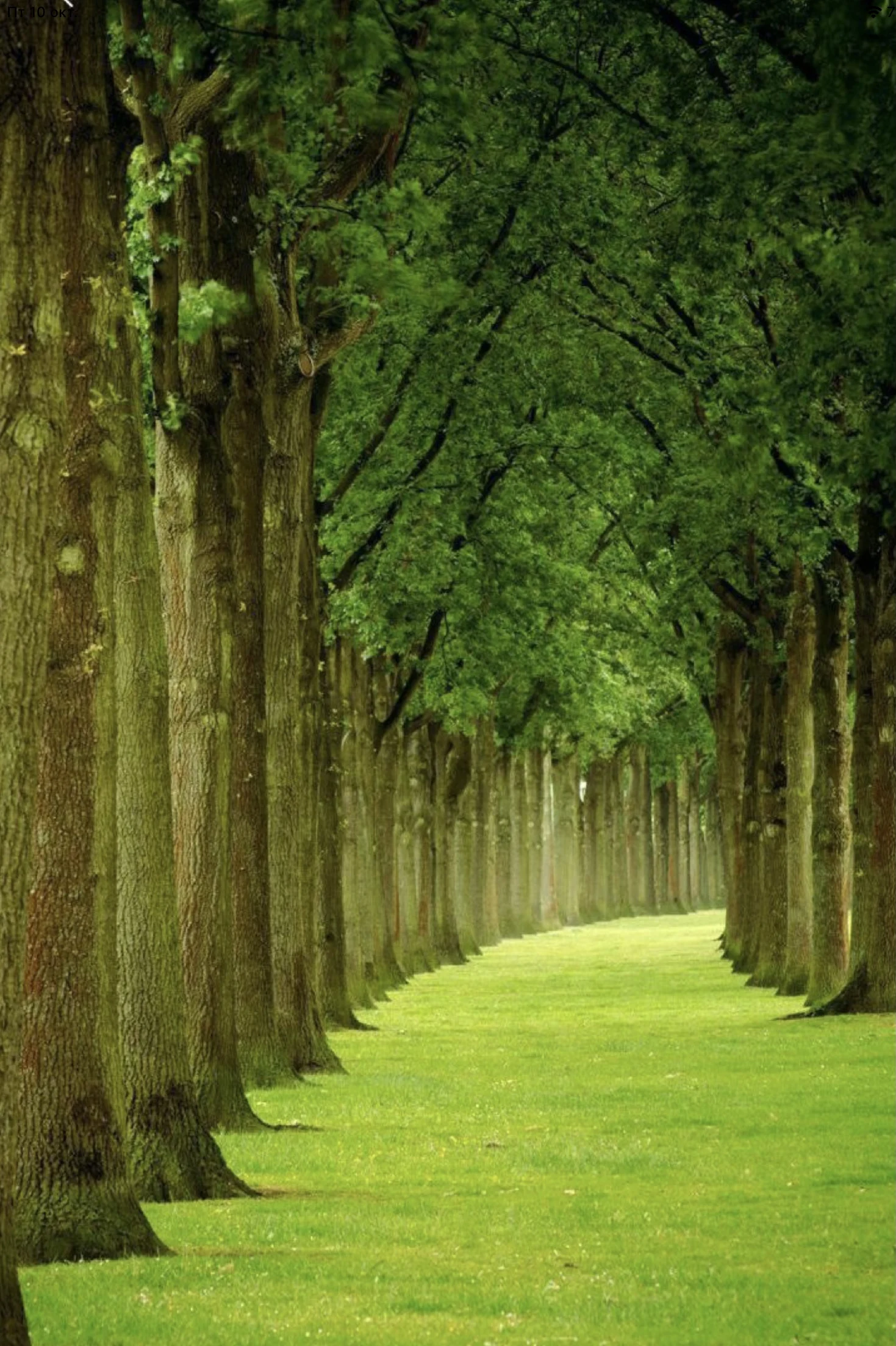 Property background view